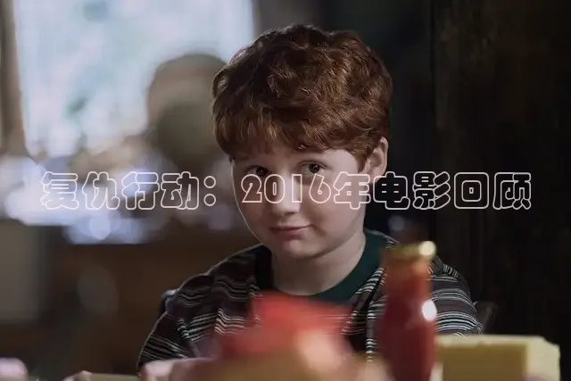 复仇行动：2016年电影回顾